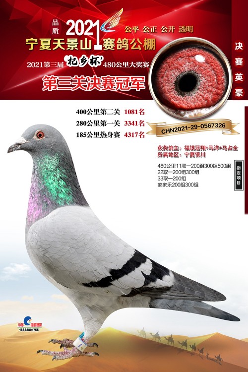 kR8C34.jpg