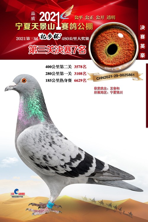 kR8dAI.jpg