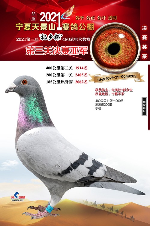 kR8nBY.jpg