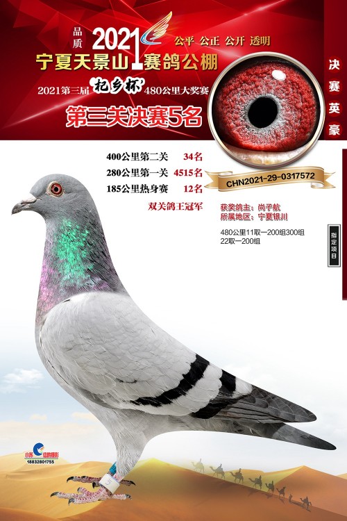 kR8suq.jpg