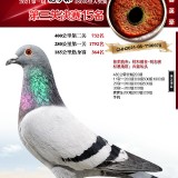 kRGHw3