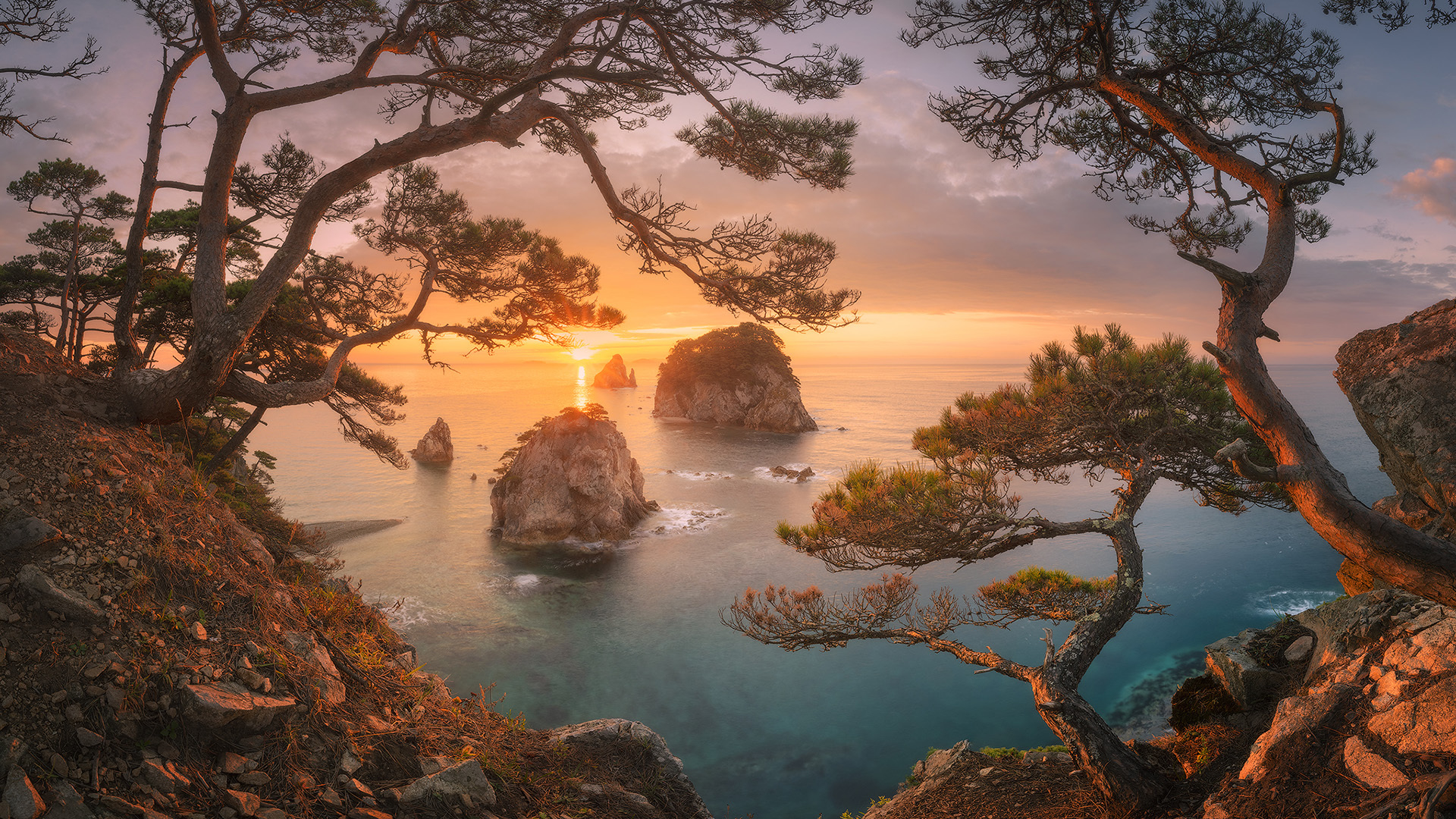 🏠 糖氏家族成员介绍