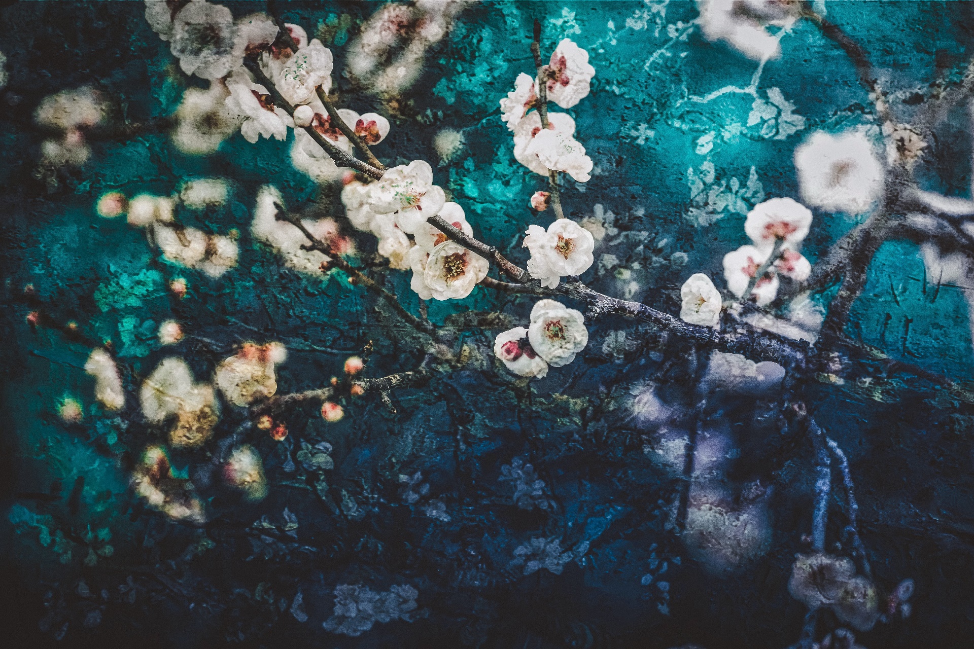 ⭐ 2023年10月15日  天津演唱会