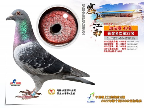 塞上江南加站48