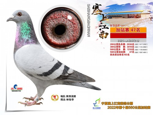 塞上江南加站47