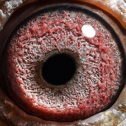 塞上江南加站47 