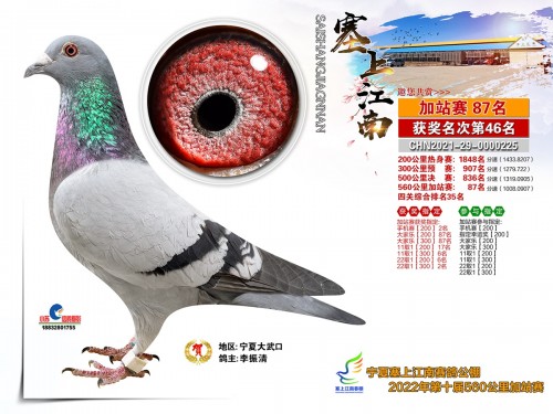 塞上江南加站87