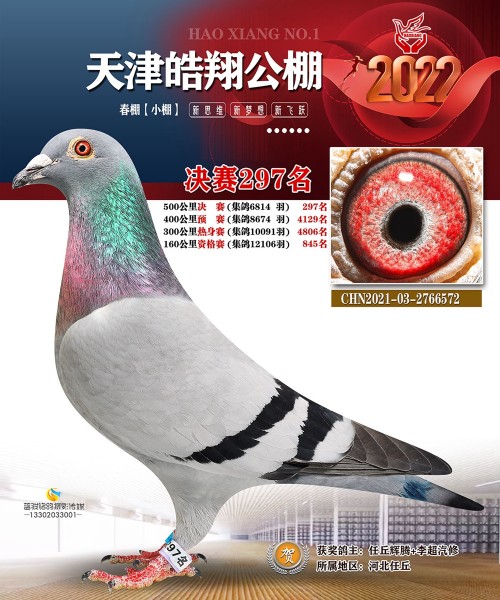 皓翔小棚决赛297名