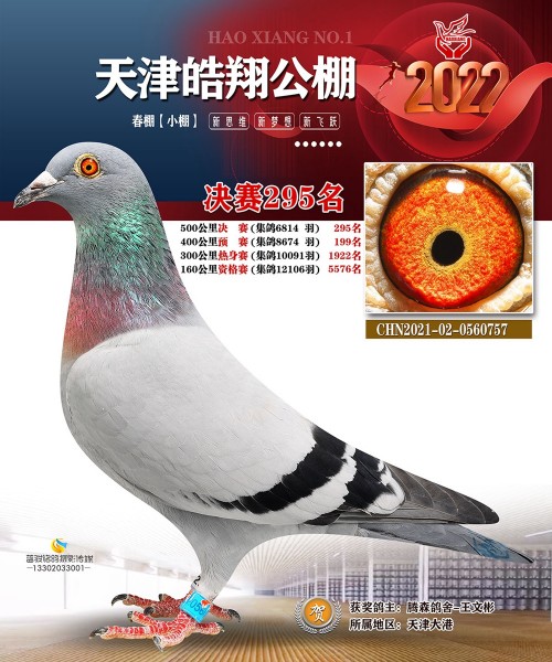 皓翔小棚决赛295名