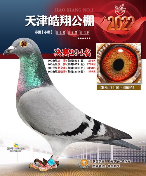 皓翔小棚决赛294名