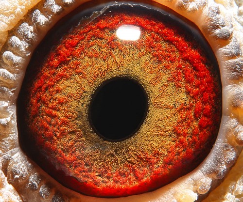 皓翔小棚决赛294名 