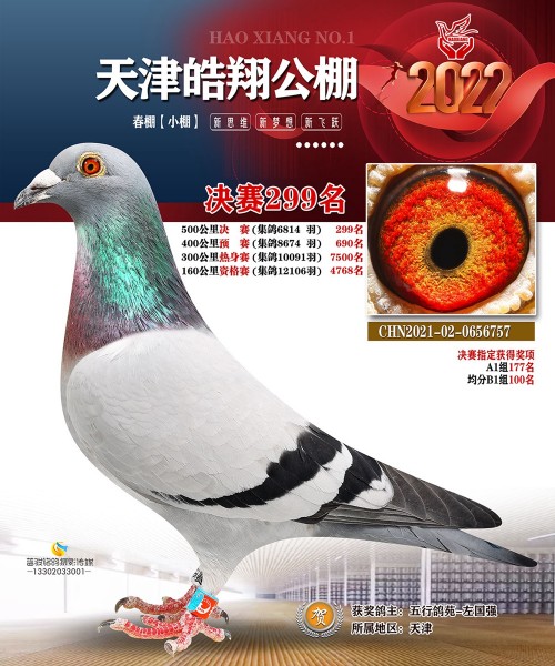 皓翔小棚决赛299名