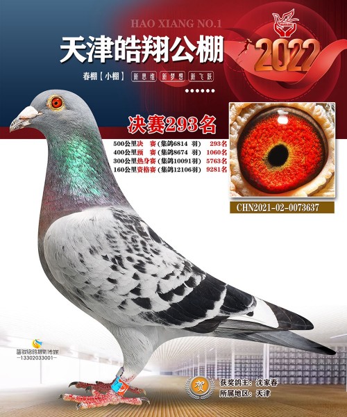 皓翔小棚决赛293名