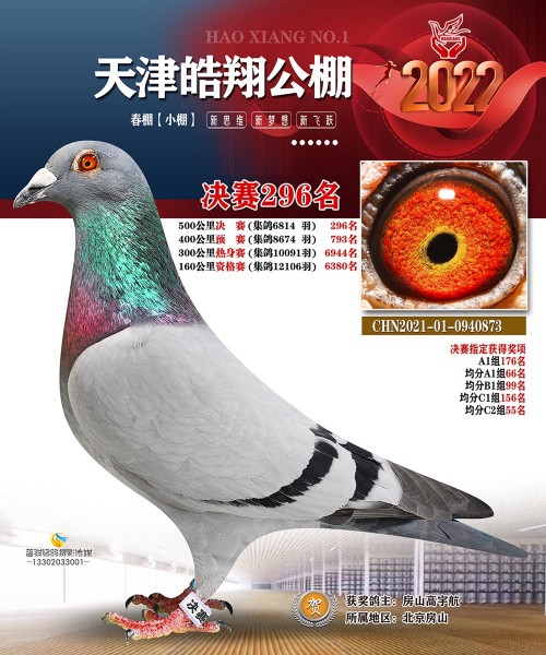 皓翔小棚决赛296名