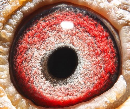 皓翔小棚决赛292名 