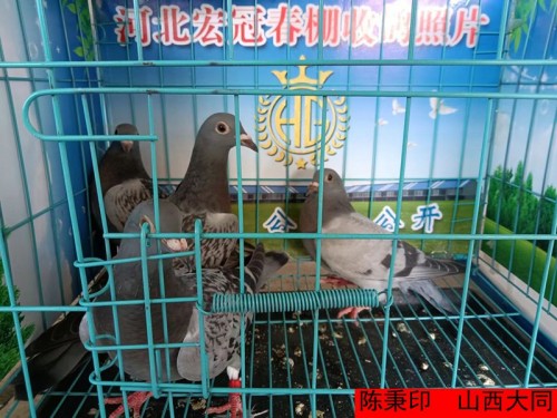 BLV9IU.jpg