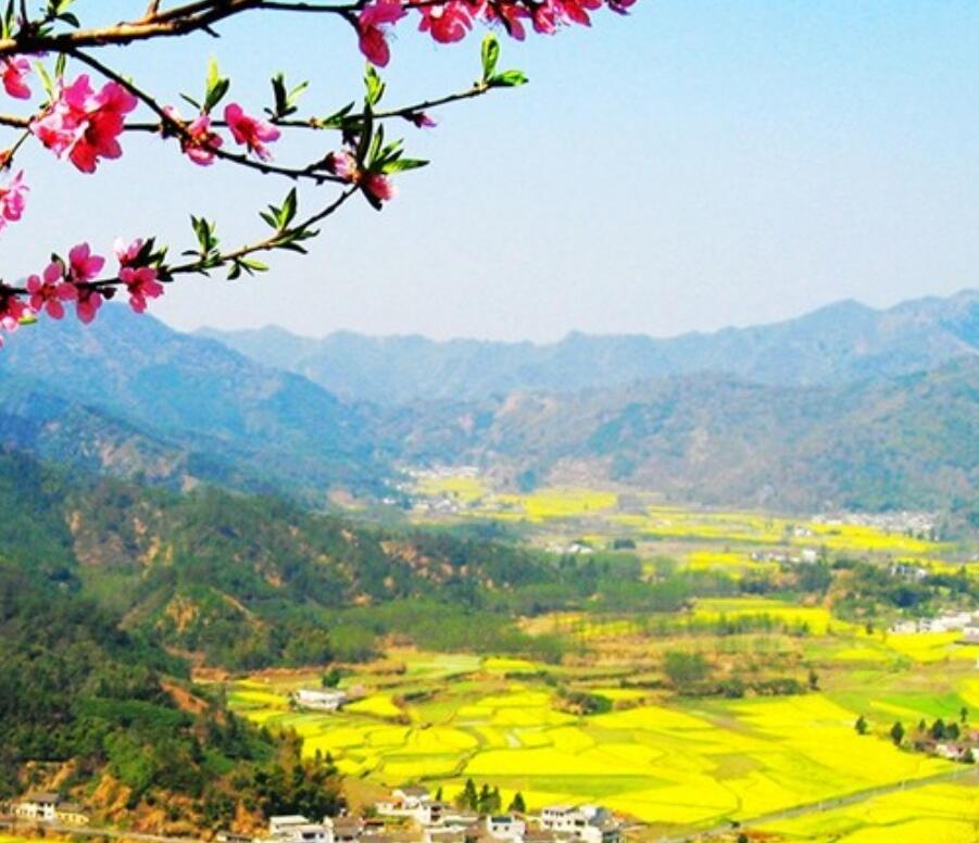 洛阳古都丽景2023年债权系列