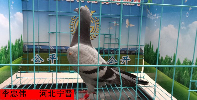 李忠伟