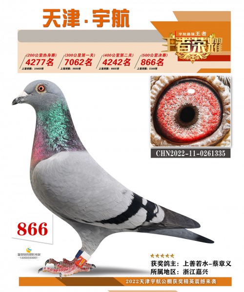 BgvENh.jpg