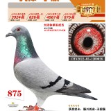 BgvW5G