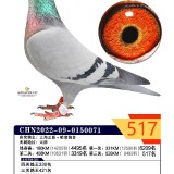 BxU8zI