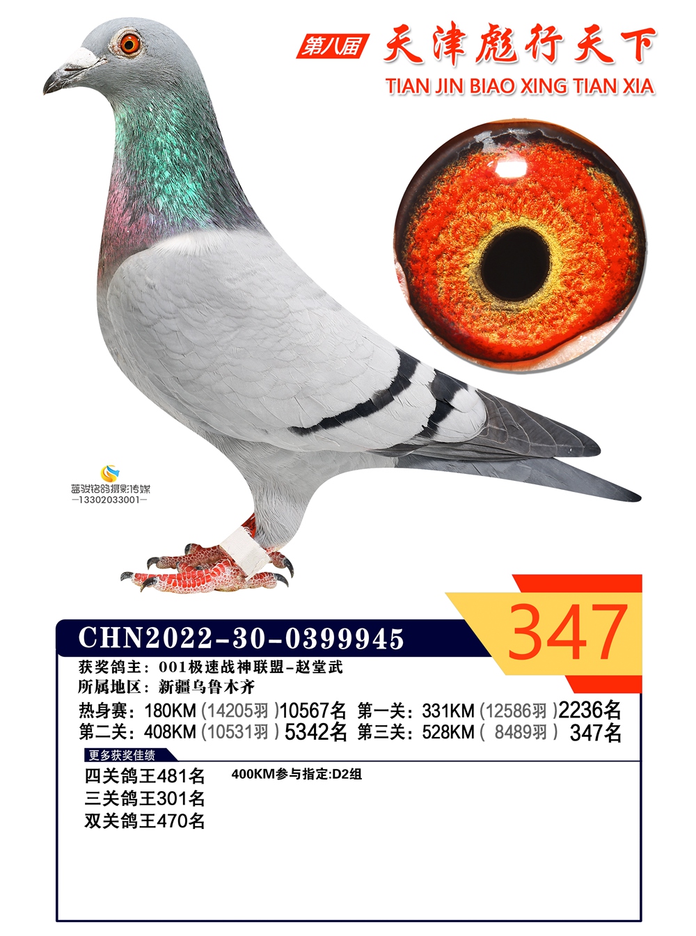 彪行天下347