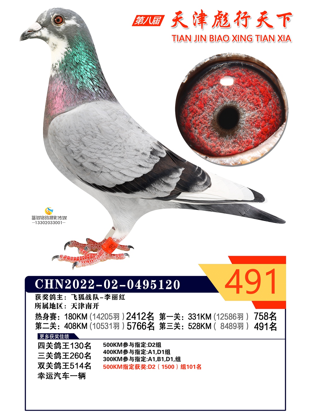 彪行天下491
