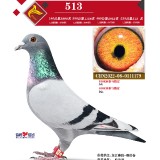 BxzE3f