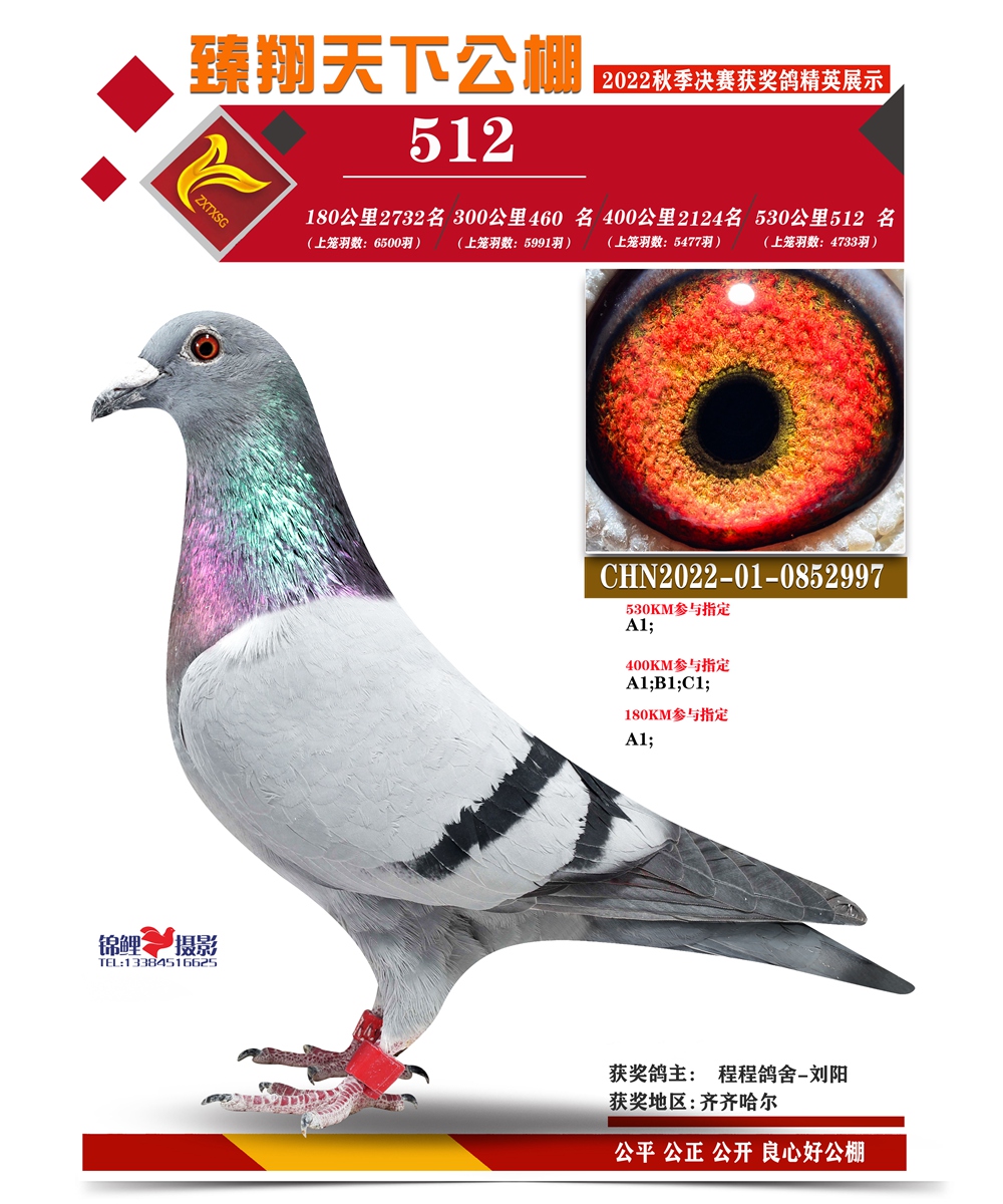 臻翔天下（名字在下） 副本 副本 数据组“512”