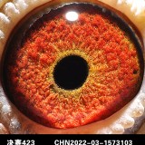 BA87f6