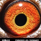 BA8vrq