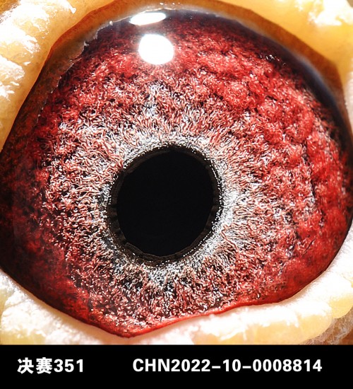 BAg9sV.jpg