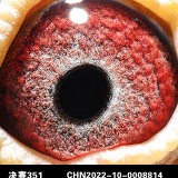 BAg9sV