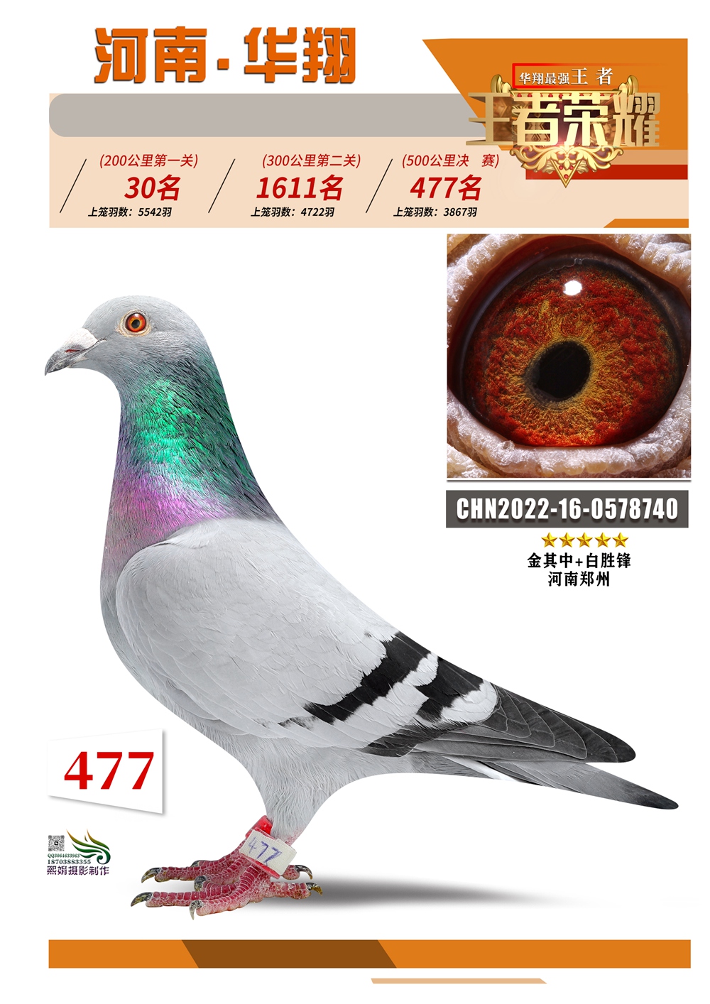 477 Zimgs