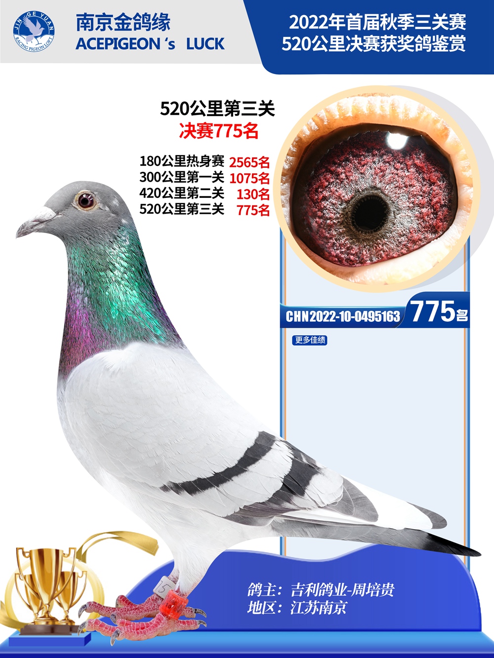 775 Zimgs