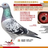 3rZCxq