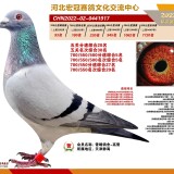 3rdCfQ