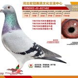 3rdyq9