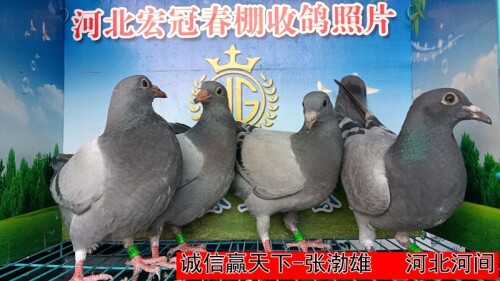 3Jt3pI.jpg