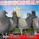 3Jt3pI