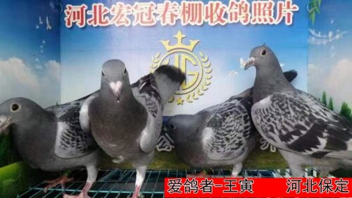 3JtLn7.jpg