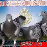 3JtLn7