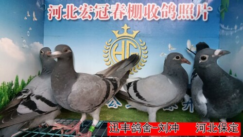 3JtP9Y.jpg