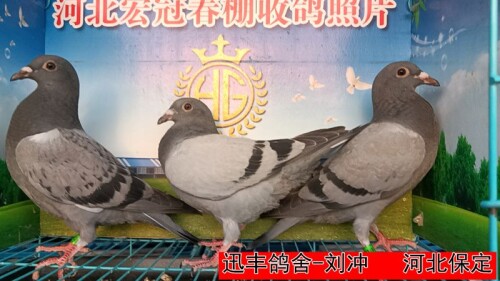 3JtU49.jpg