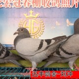 3JtU49