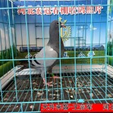 3JtcQj