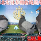 3Jtpca