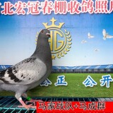 3Jtu2t