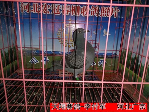 3Jtvv5.jpg
