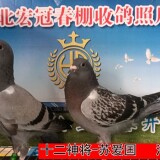 3Jtx9Q